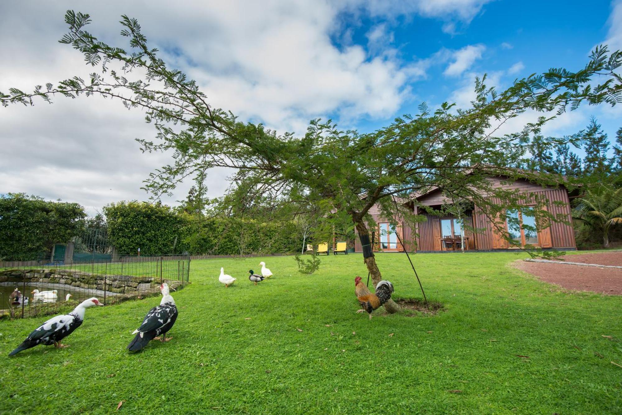 Quinta Dos Curubas Villa Vila Franca do Campo Exterior photo